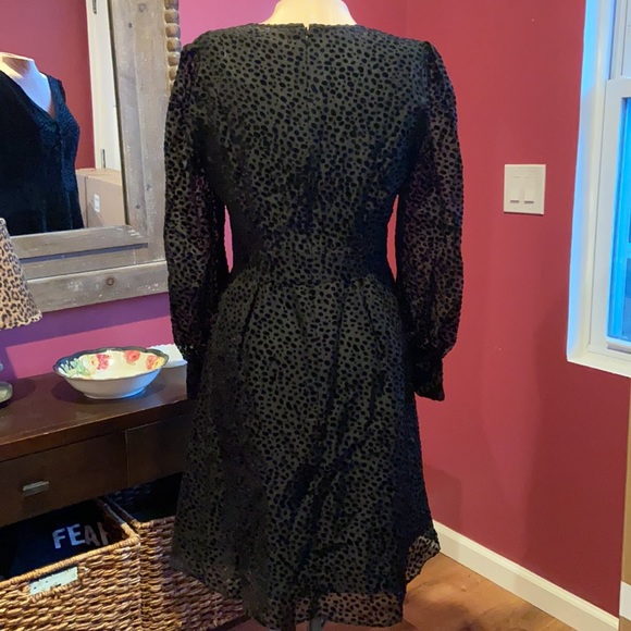 Boden Dalmatian Print Velvet Burnout Dolores Black Dress 6 - Picture 11 of 15